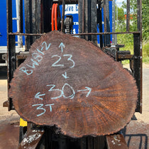 Black Walnut Burl