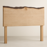 Live Edge Sycamore Headboard