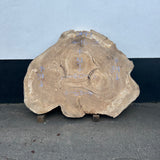 Cottonwood Live Edge Round 16-63"x 34-51" Slab