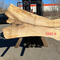 Spalted Wood