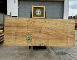 Live Edge Cashew Slab 133”L x 53”W x 3”T   DPT 302