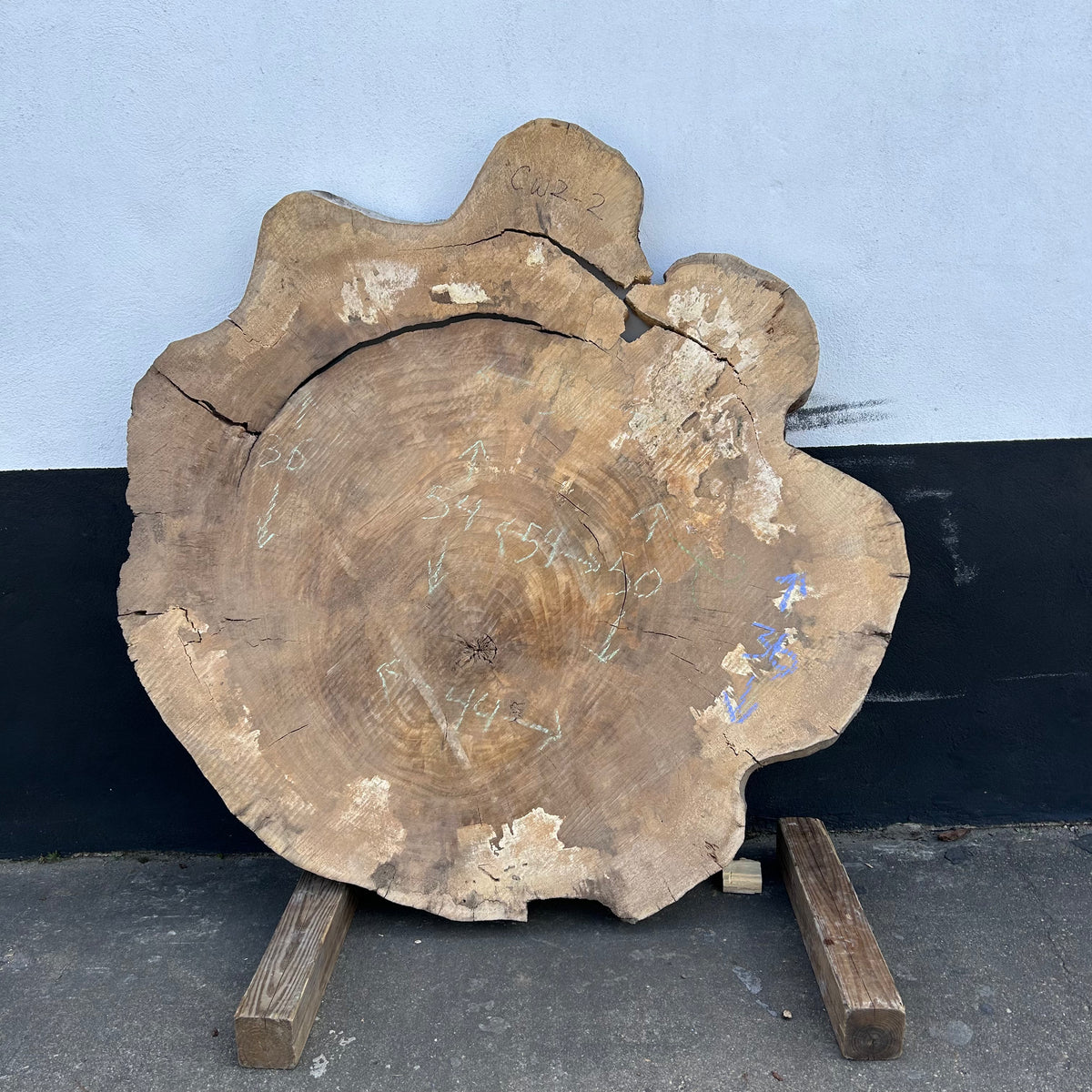Cottonwood Live Edge Round 35-54"x 44-54" Slab