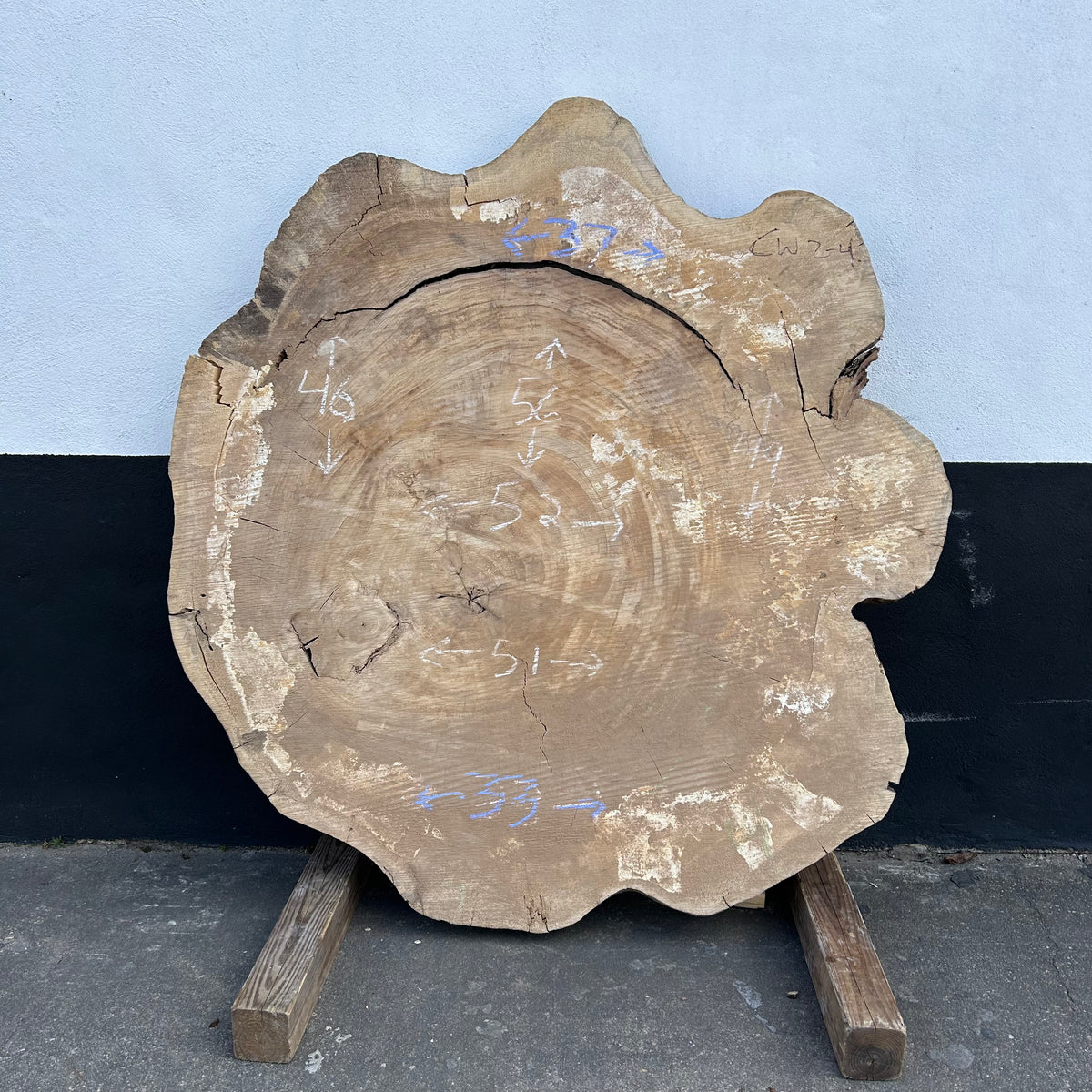 Cottonwood Live Edge Round 33-52"x 44-56" Slab