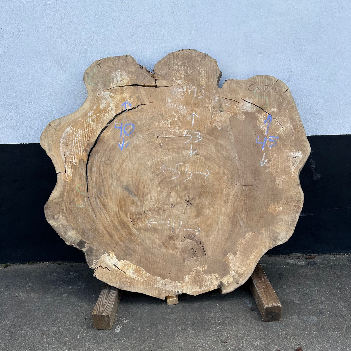 Cottonwood Live Edge Round 45-55"x 40-53" Slab