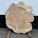 Cottonwood Live Edge Round 45-58"x 40-51" Slab