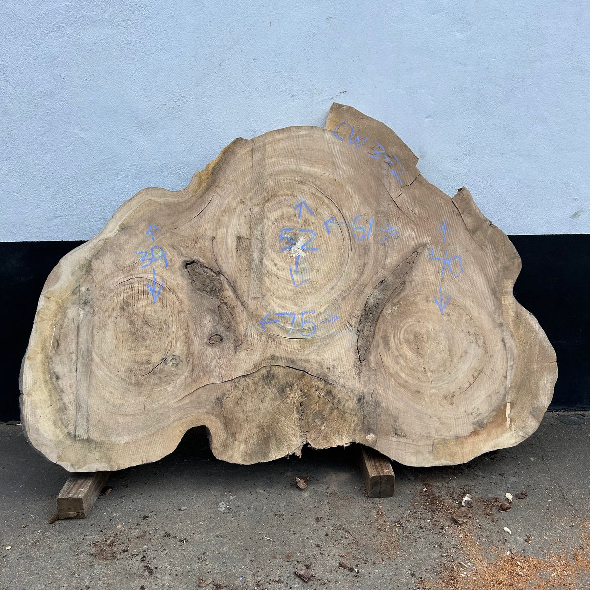 Cottonwood Live Edge Round 61-75"x 39-52" Slab