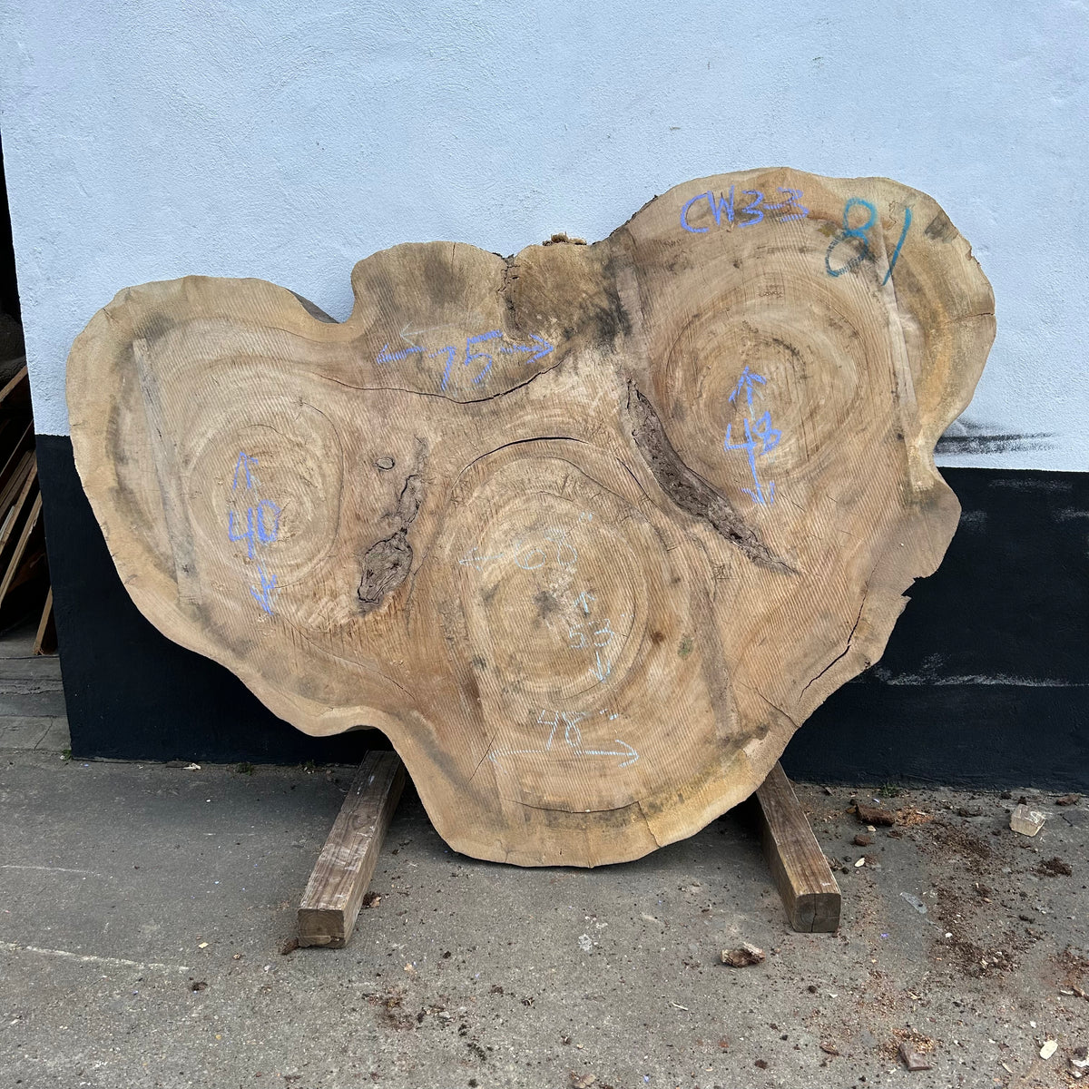 Cottonwood Live Edge Round 48-75"x 40-53" Slab