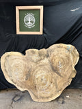Cottonwood Live Edge Round 48-75"x 40-53" Slab
